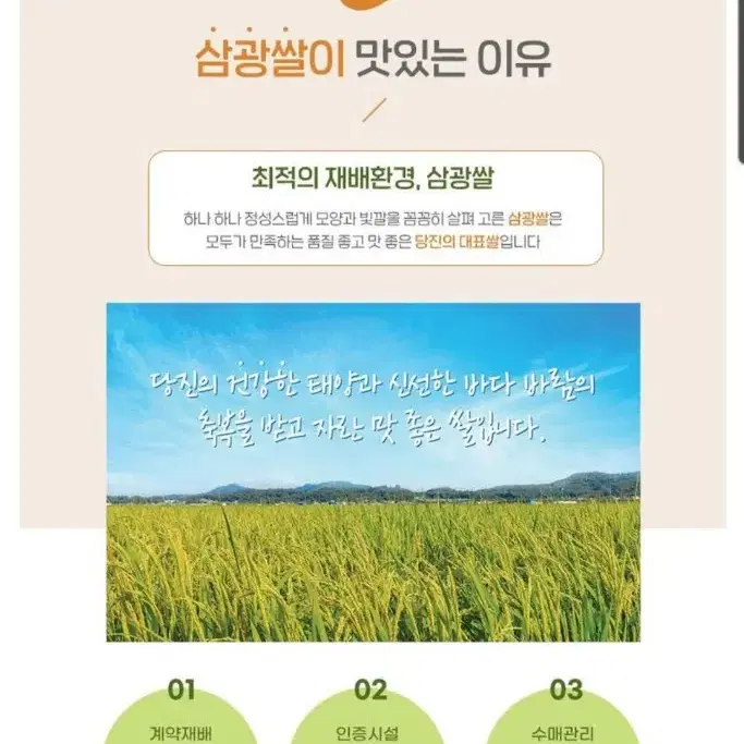 당진해나루쌀삼광쌀 금빛너울쌀 상등급20KG 당일도정23년햅쌀40990원