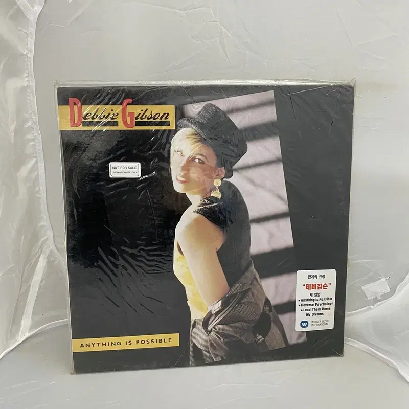 DEBBIE GIBSON 미개봉 LP / AA2404