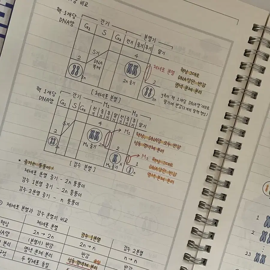 매가스터디 백호 생명과학1 개념완성 서브노트