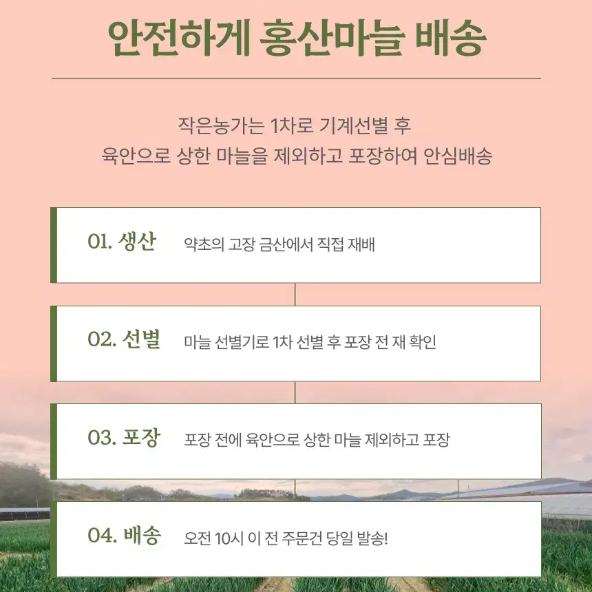 작은농가 임농부의 홍산마늘