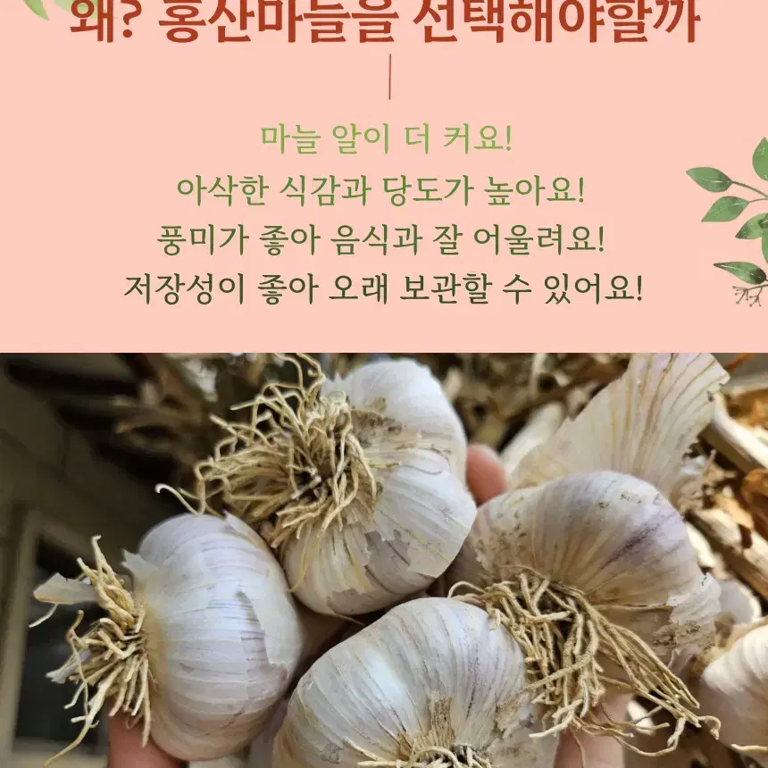 작은농가 임농부의 홍산마늘