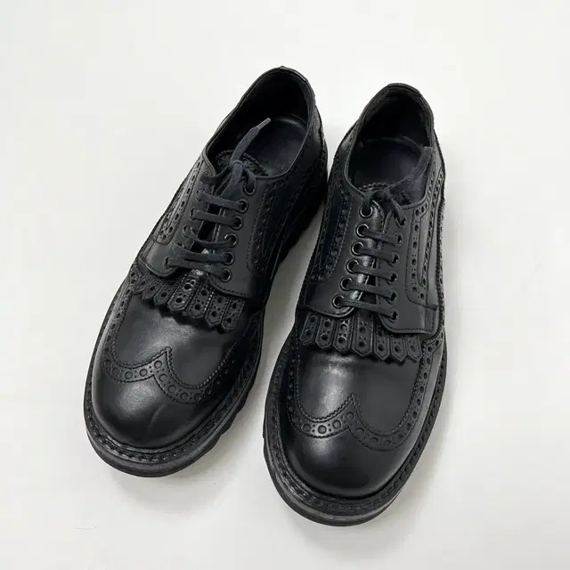 (무료배송) PREMIATA 프리미아타 wing tips shoes