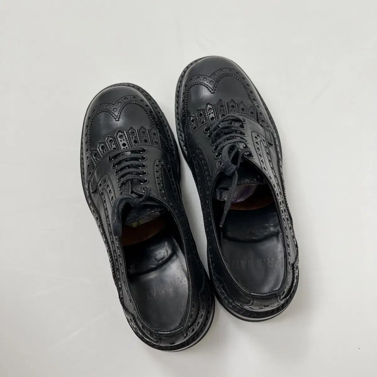 (무료배송) PREMIATA 프리미아타 wing tips shoes