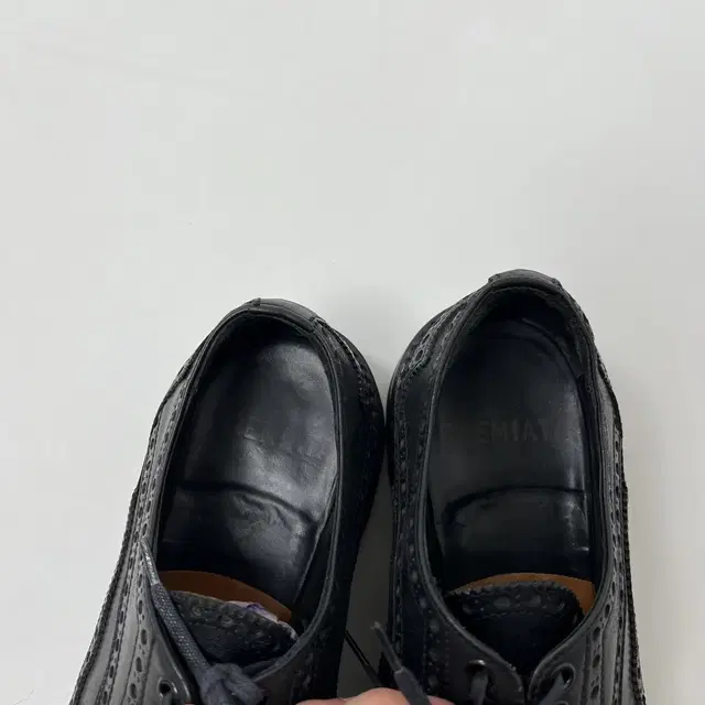 (무료배송) PREMIATA 프리미아타 wing tips shoes