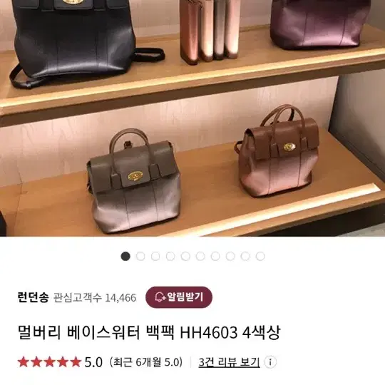 멀버리 베이스워터 백팩