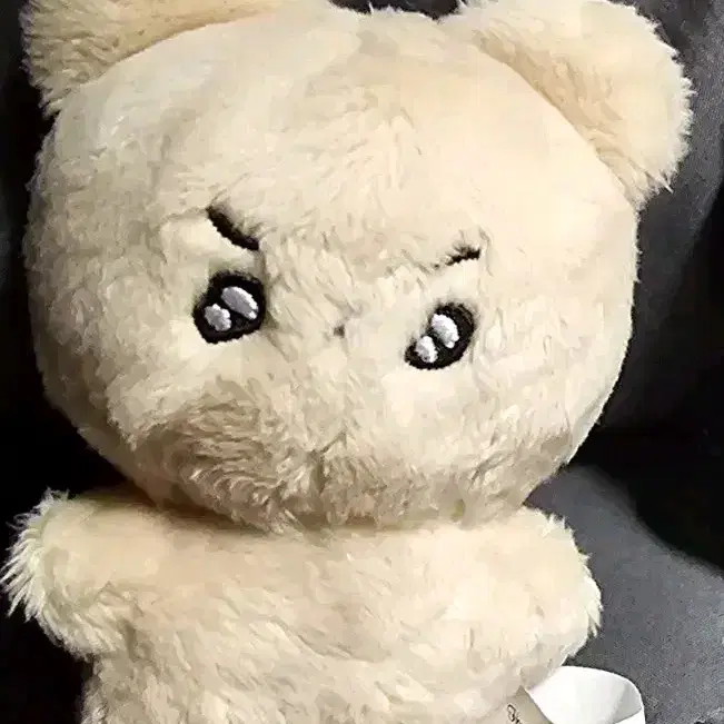 횬도리 더보이즈 현재 10cm 인형