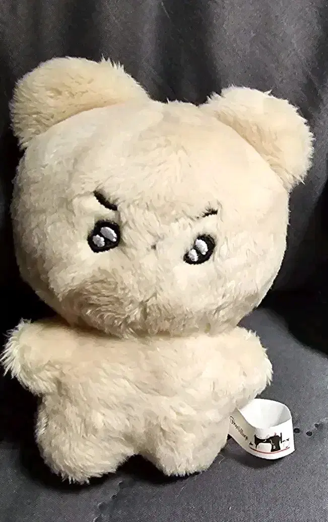 횬도리 더보이즈 현재 10cm 인형