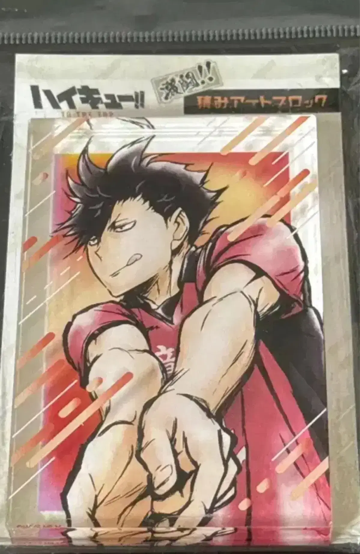 Kuroo acrylic block unsealed