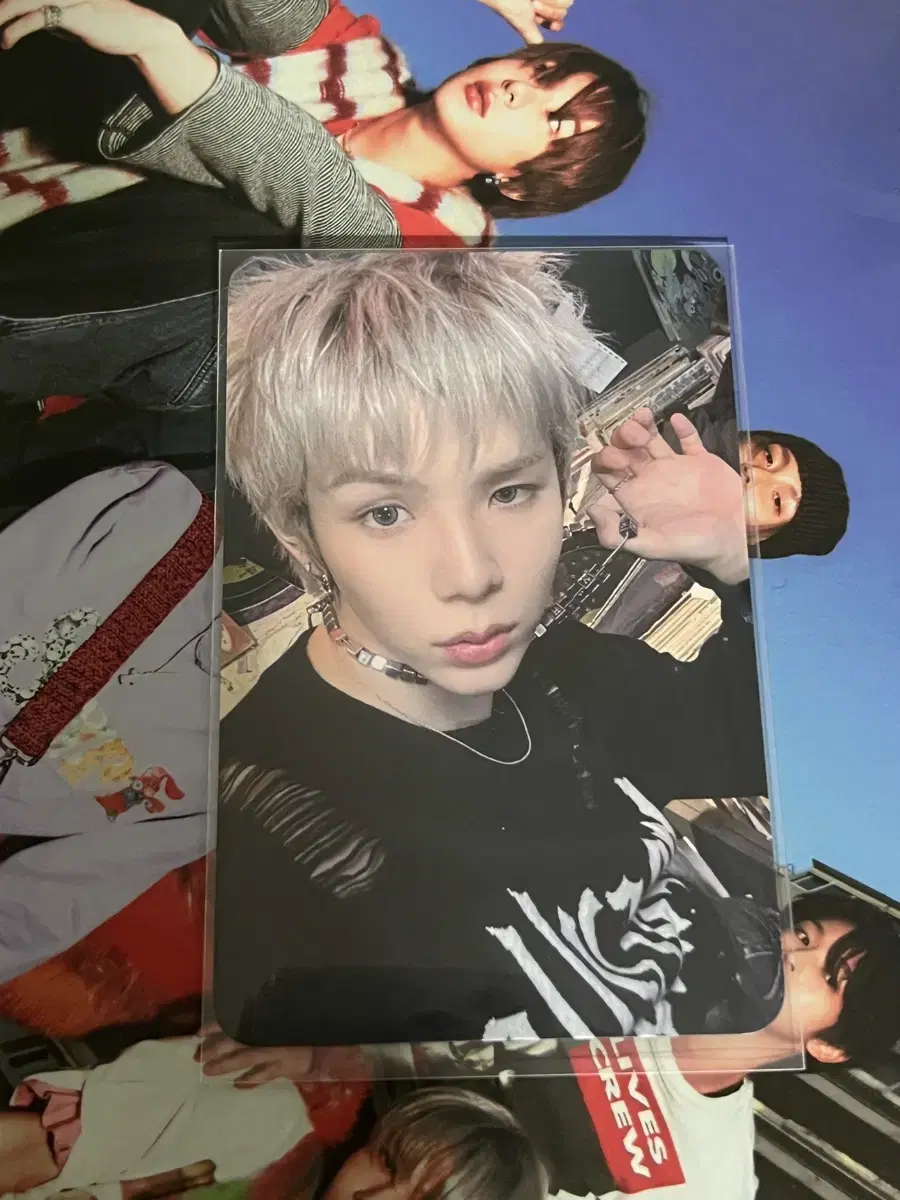 Everline shotaro unreleased photocard