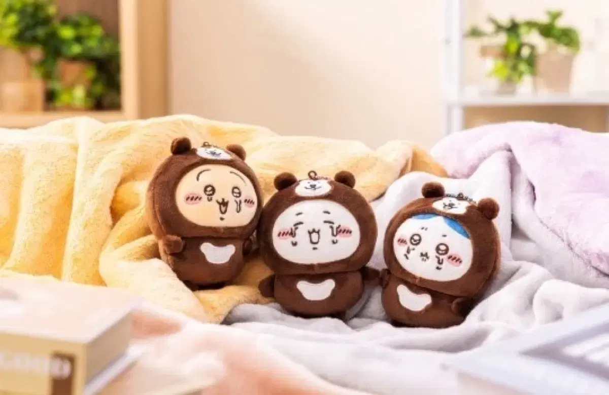 말레이곰 우는 치이카와 세트