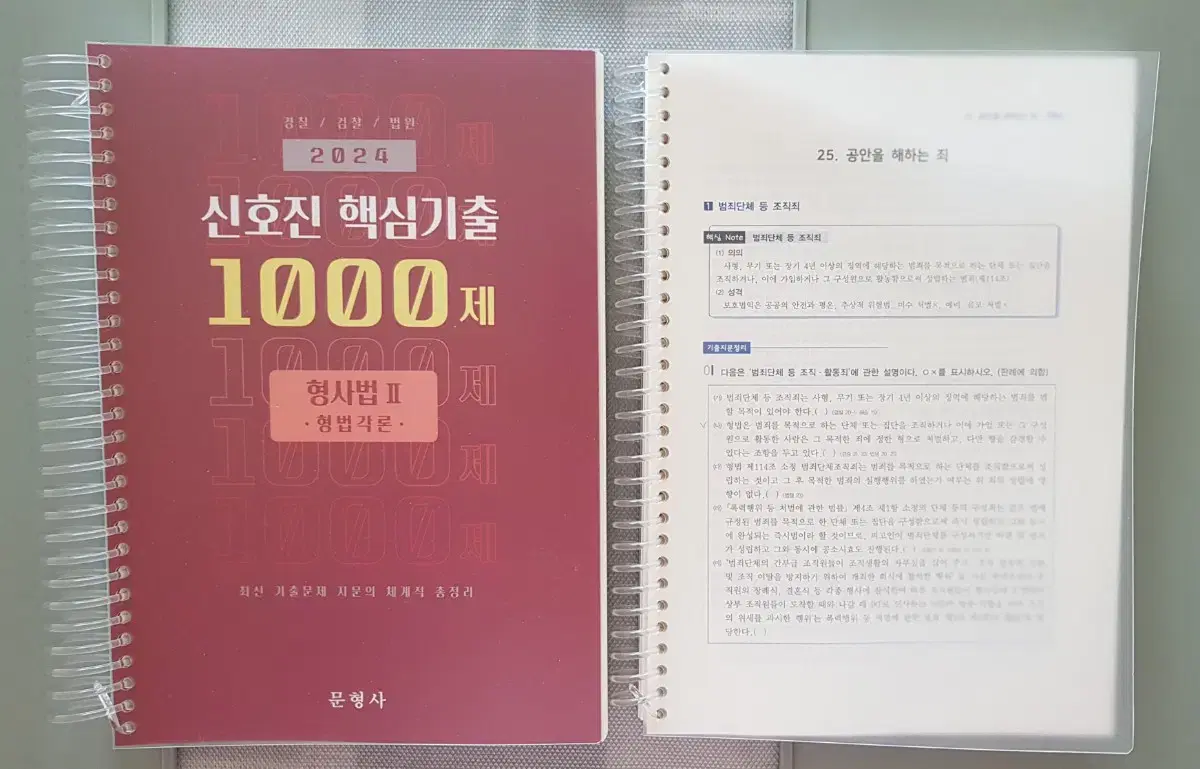 가격내림-신호진 핵심기출 1000제 형법각론