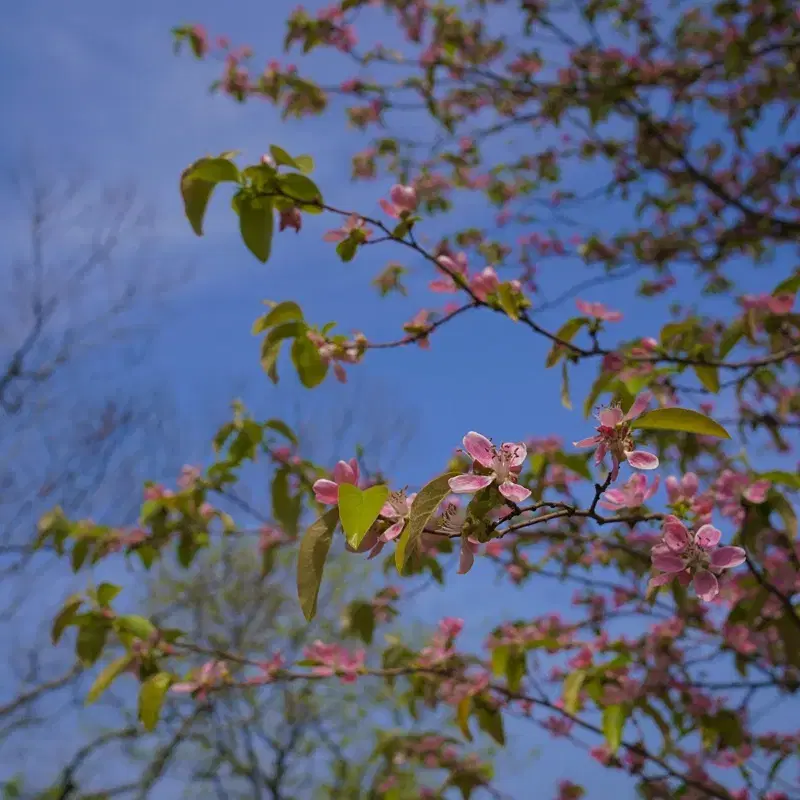 소니 E마운트 빌트록스 24mm F1.8 + MCUV 필터 포함