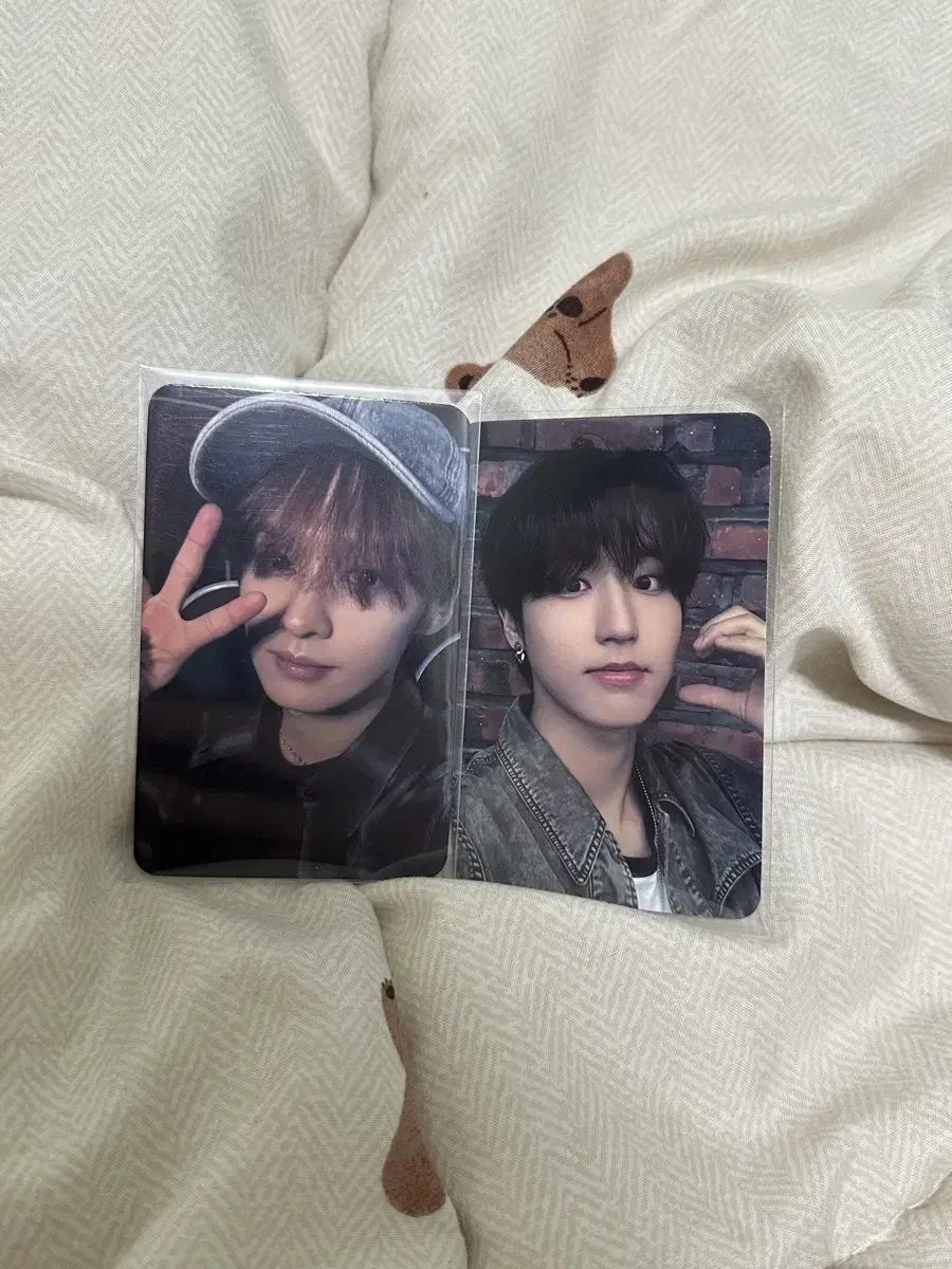 Skz Hoozfan unreleased photocard Youngtong Pansa photocard wts lee know lee minho han jisung han