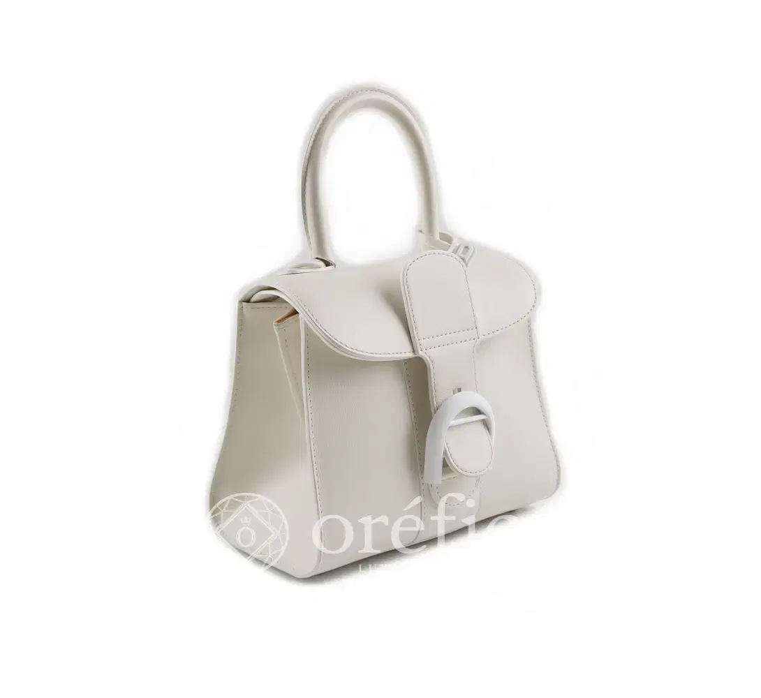 Delvaux AA0406 AAM010DIV Briand Mini Ivory (White)