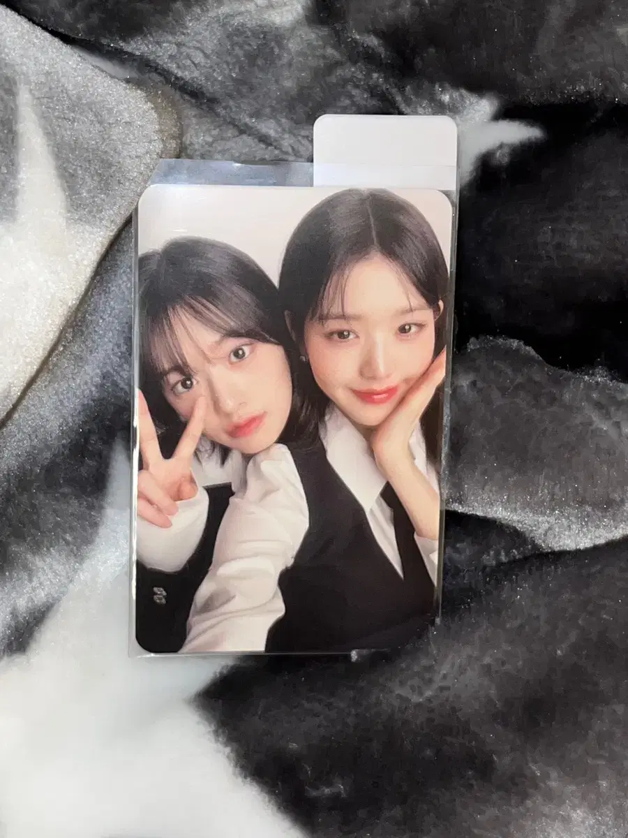 ive hiels jang wonyoung ahn yujin hiels md photocard wts