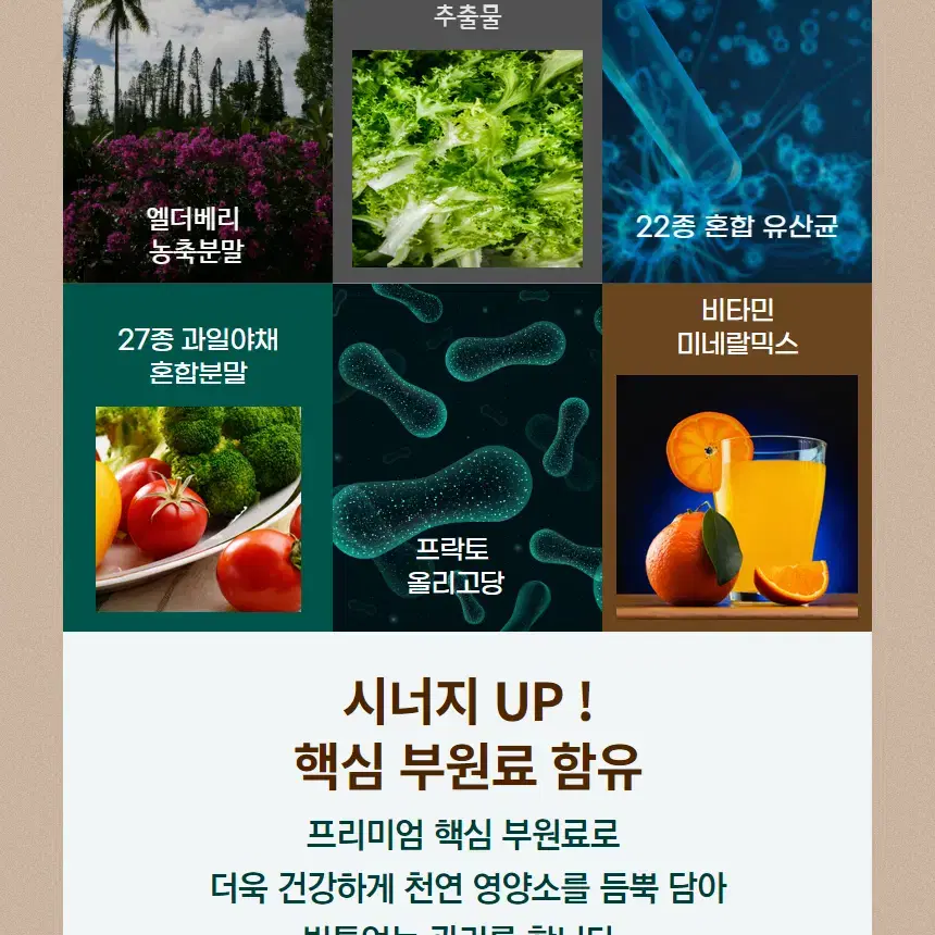 프리미엄 호라산밀 곡물효소정 2통 4개월분 볶은카무트분말 캐나다산