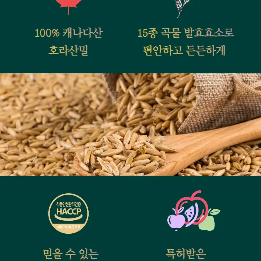 프리미엄 호라산밀 곡물효소정 2통 4개월분 볶은카무트분말 캐나다산