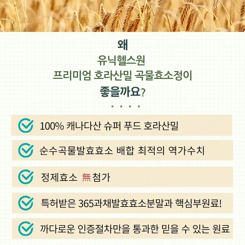 프리미엄 호라산밀 곡물효소정 2통 4개월분 볶은카무트분말 캐나다산