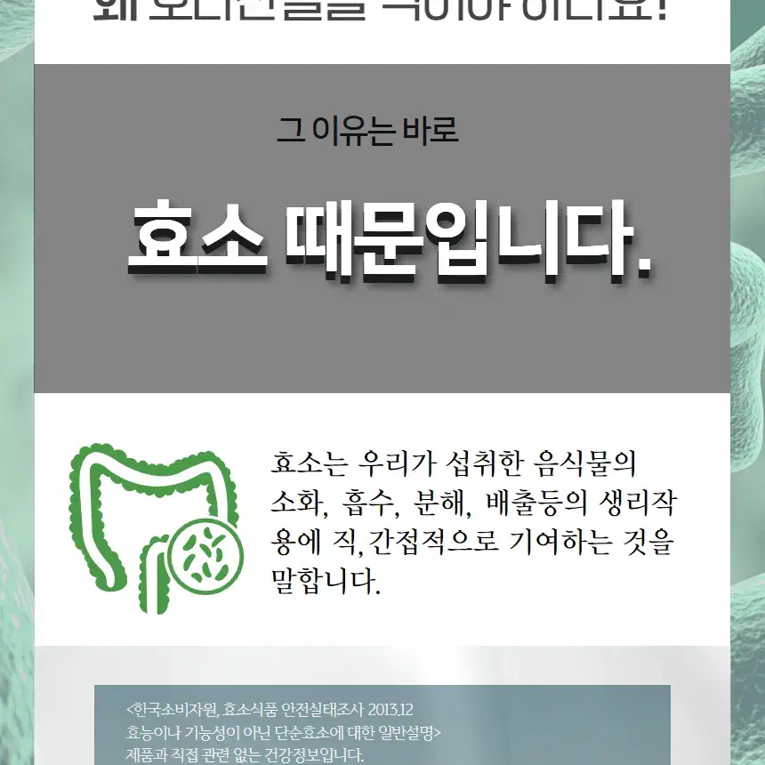 프리미엄 호라산밀 곡물효소정 2통 4개월분 볶은카무트분말 캐나다산