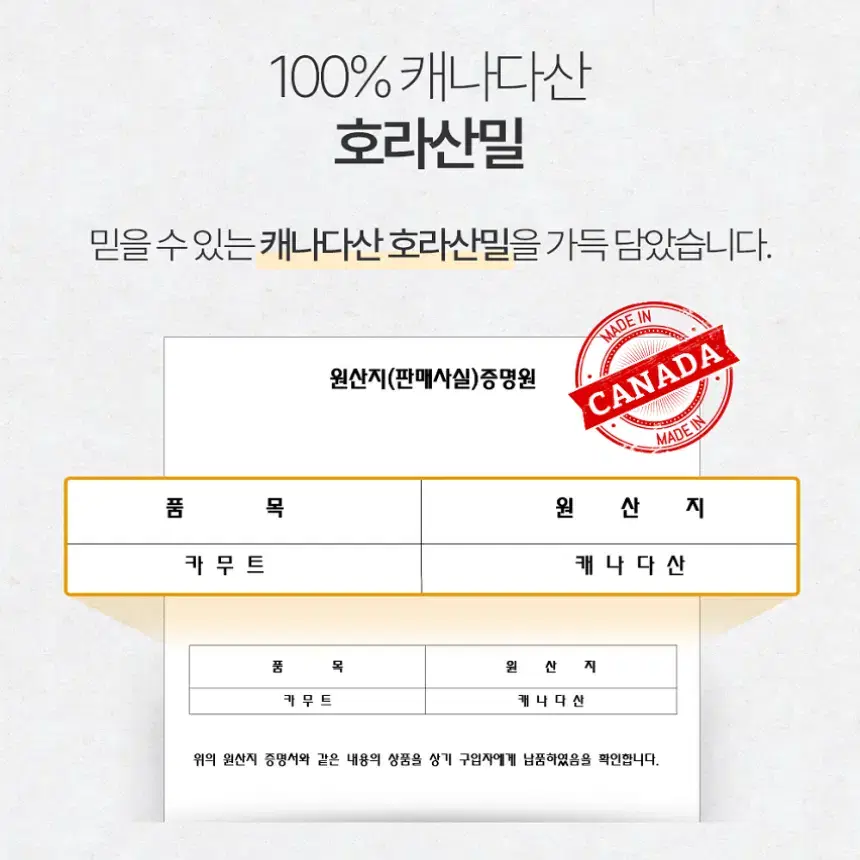 프리미엄 호라산밀 발효 곡물효소정 3통 6개월분 HACCP