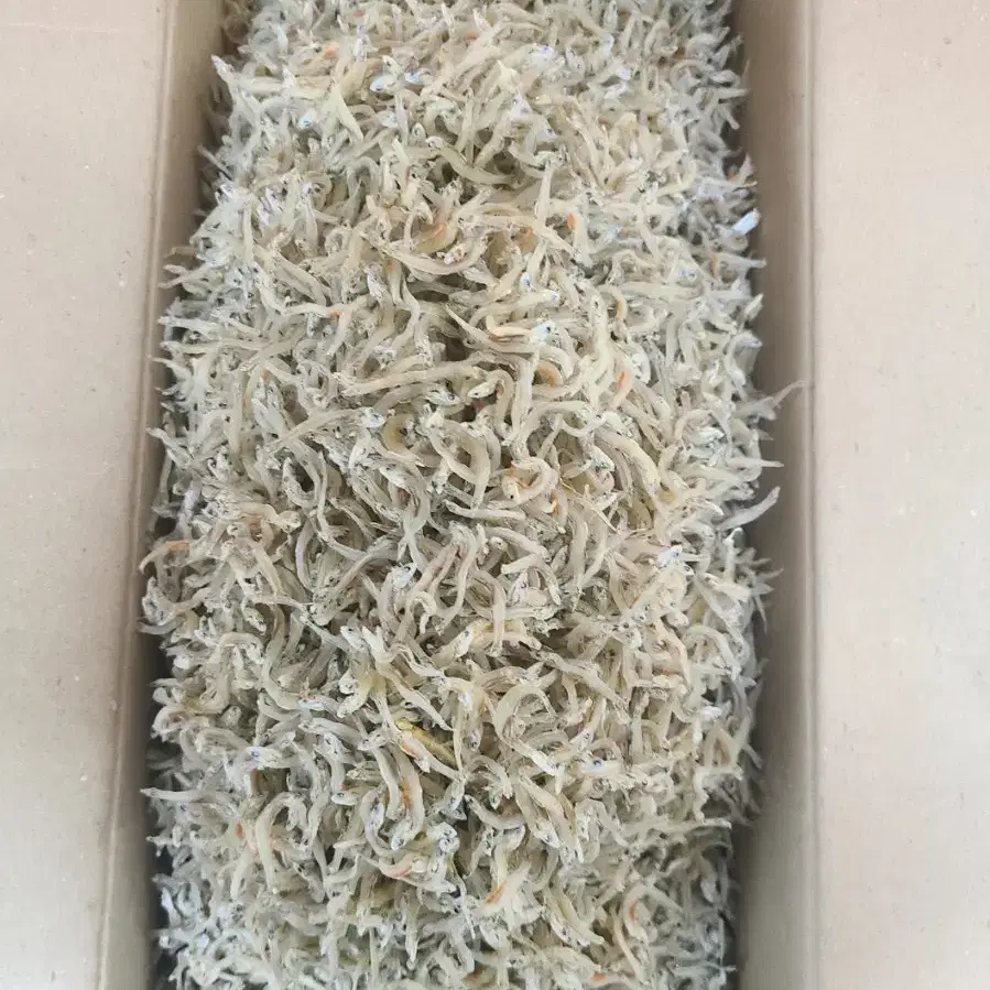 남해안 최고급 알배기 지리 멸치 (1.5kg) 1박스