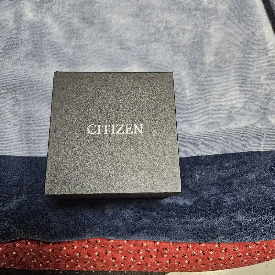 해외 명품 시계 (시티즌(citizen)스카이호크