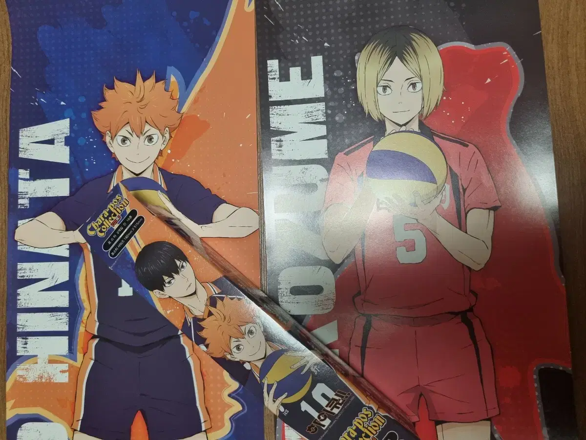 Haikyuu poster collection (2 sheets)