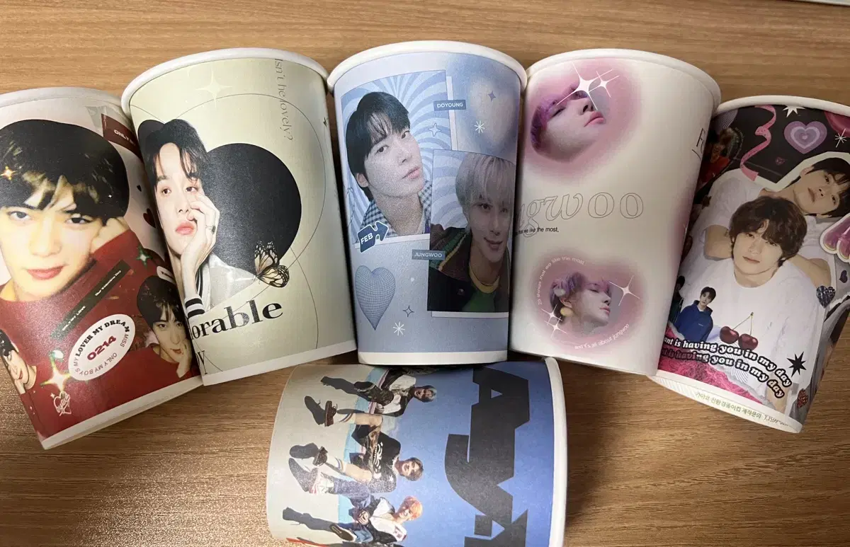 NCT nct Provincial Cupholders bulk WTS