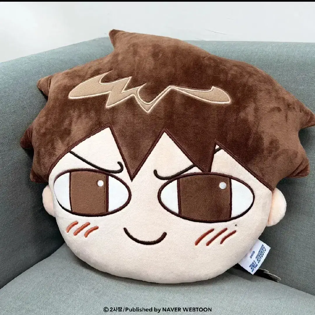 Ki-Ho Kim Face Cushion