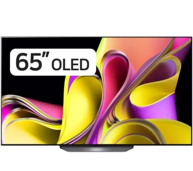 LG 65인치 OLED TV