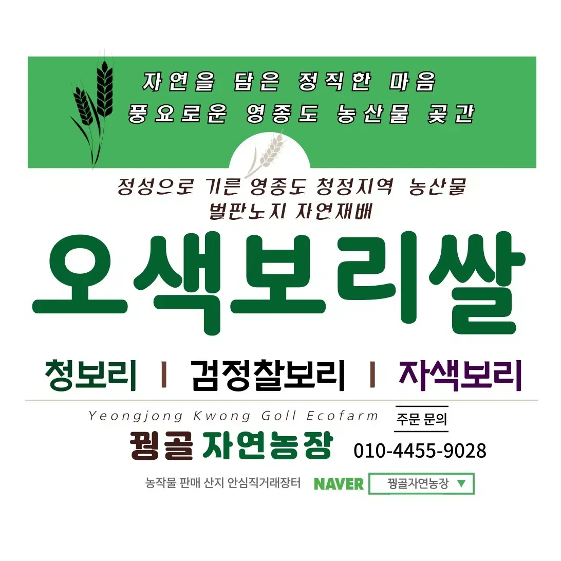 (판매완료)영종도산 오색햅보리쌀  무농약 특수영양보리5종