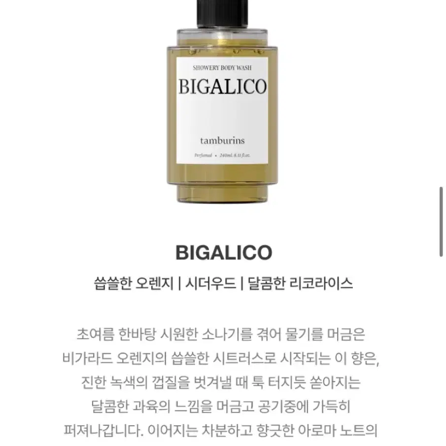 템버린즈 바디워시 BIGARICO