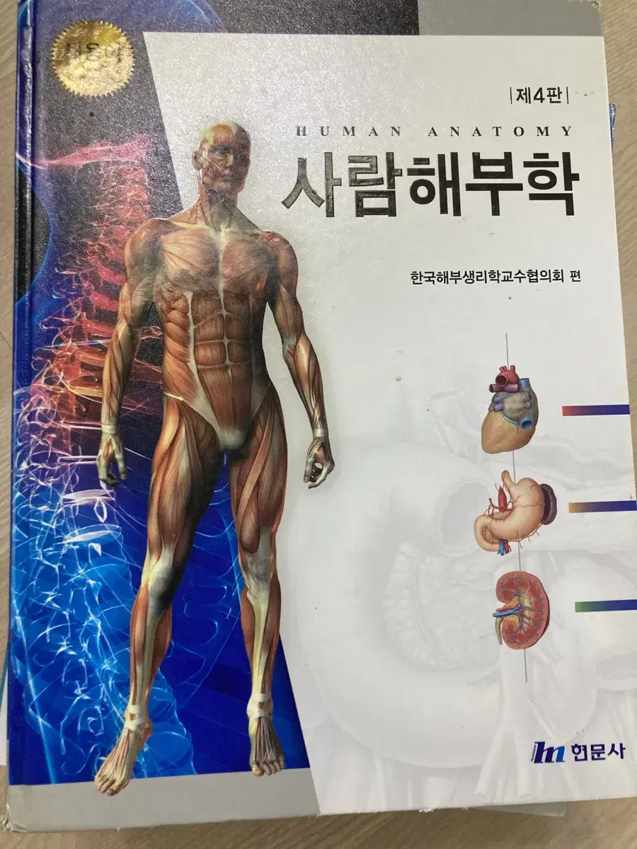 사람해부학