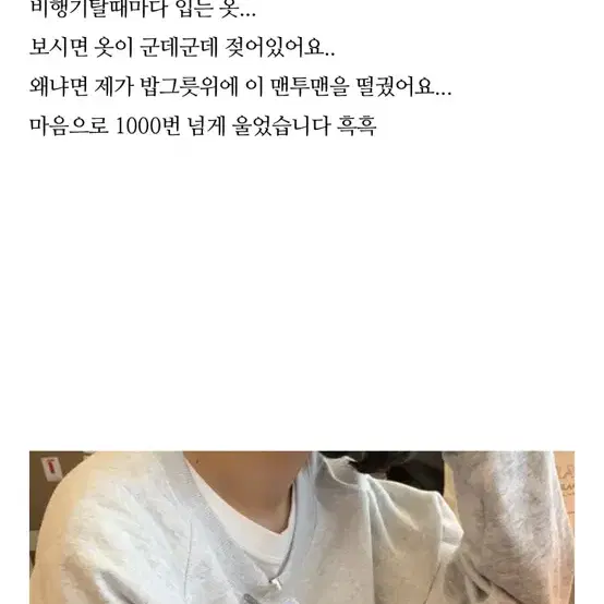 Ovneir 오브네어 스웻셔츠 맨투맨 누빌라 누가영 채도 드윌