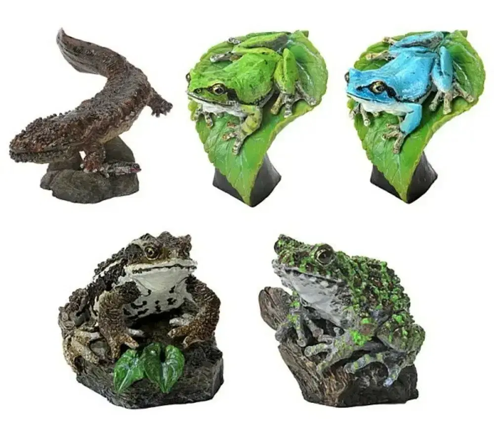 VANDAI Biological Atlas Minicollection Amphibians 01 Figure Japan Figure Toys