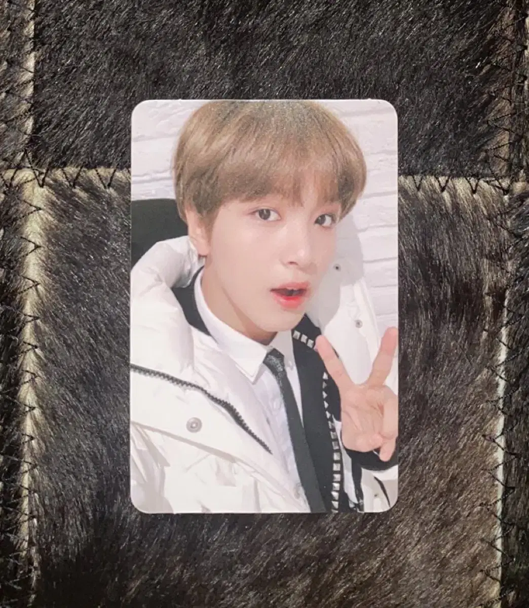 NCT No Sale Padded Haechan Photocard