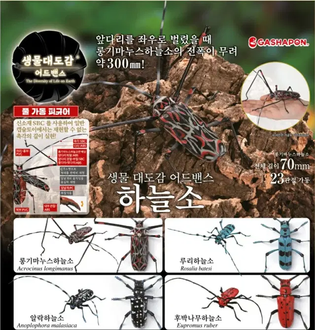 캡슐토이 가챠 생물대도감 어드밴스 하늘소 곤충 파충류 피규어 프라모델