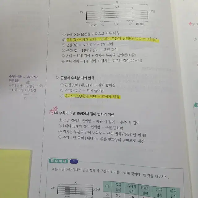 2025 백호 생명과학1 섬개완 세트