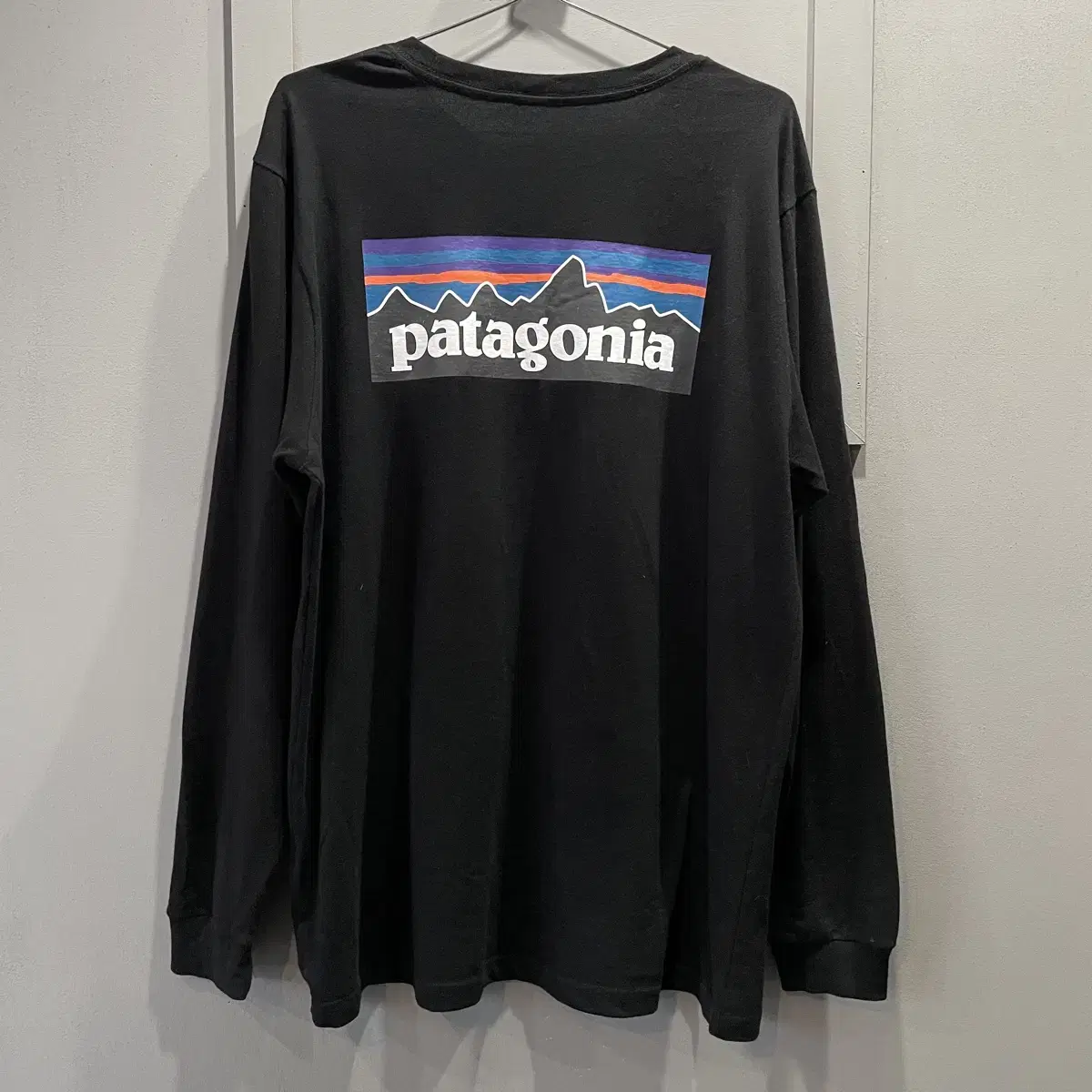 (L)Patagonia Longsleeve T-Shirt