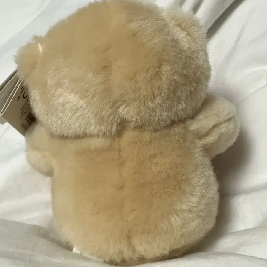 곰인형