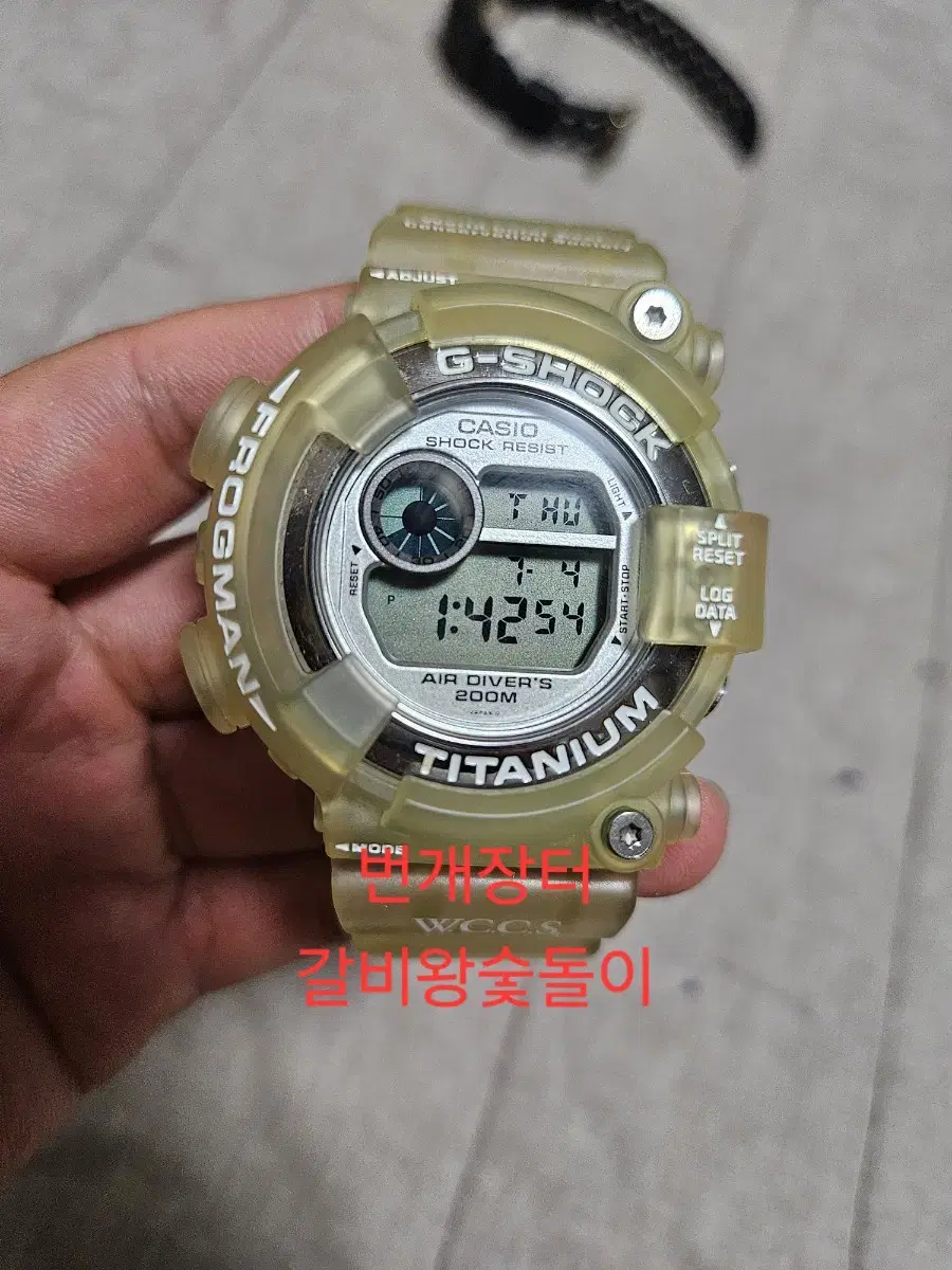 지샥 프로그맨 DW-8200 산호초