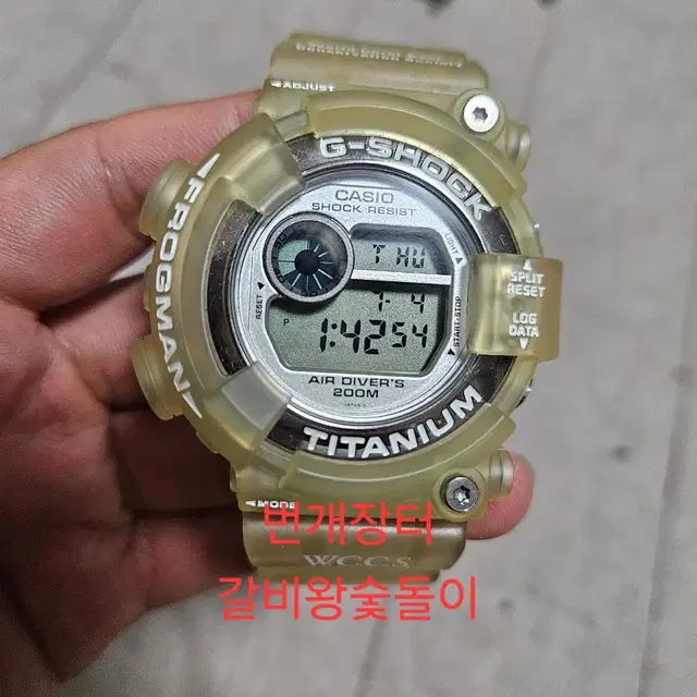 지샥 프로그맨 DW-8200 산호초