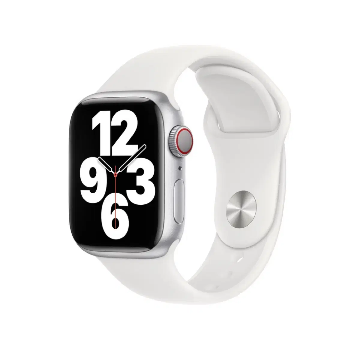 [Apple]정품 애플워치 스포츠 밴드 화이트 38/40/41mm