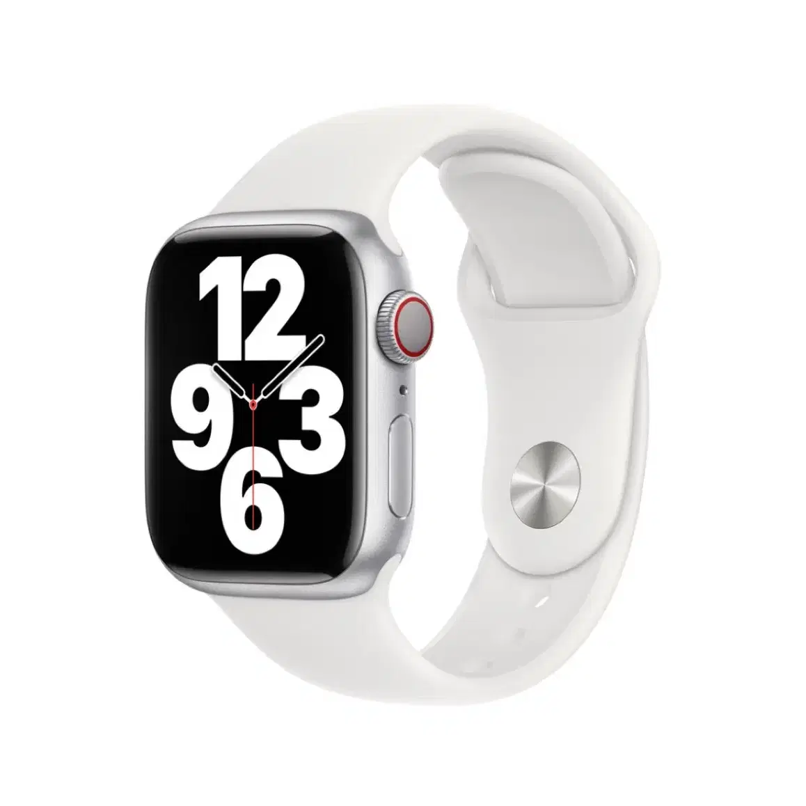 [Apple]정품 애플워치 스포츠 밴드 화이트 38/40/41mm