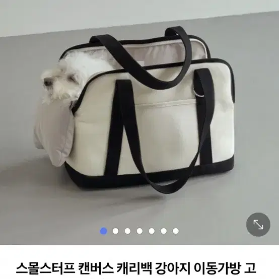 스몰스터프 강아지 캔버스캐리백 라지