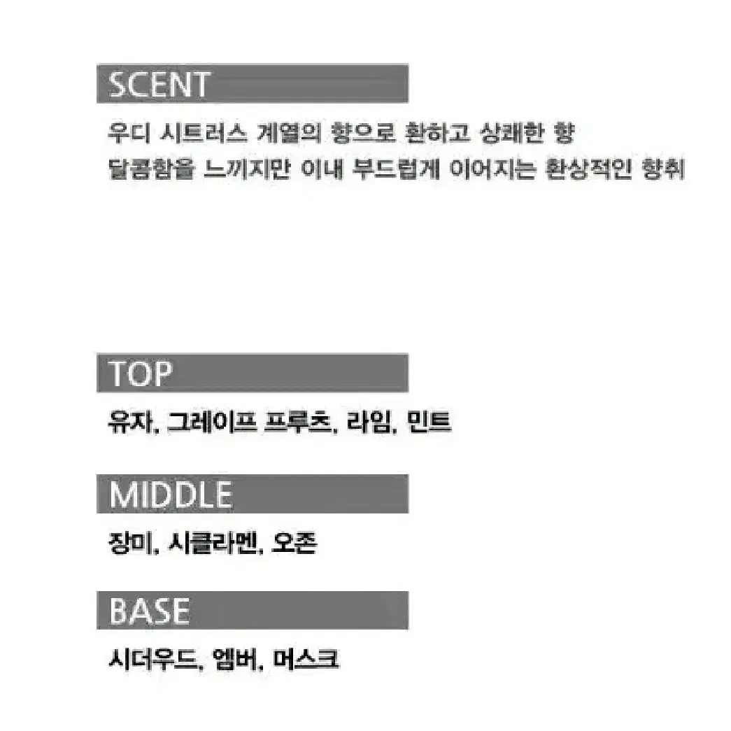 르빠 로 겐조 옴므 100ml