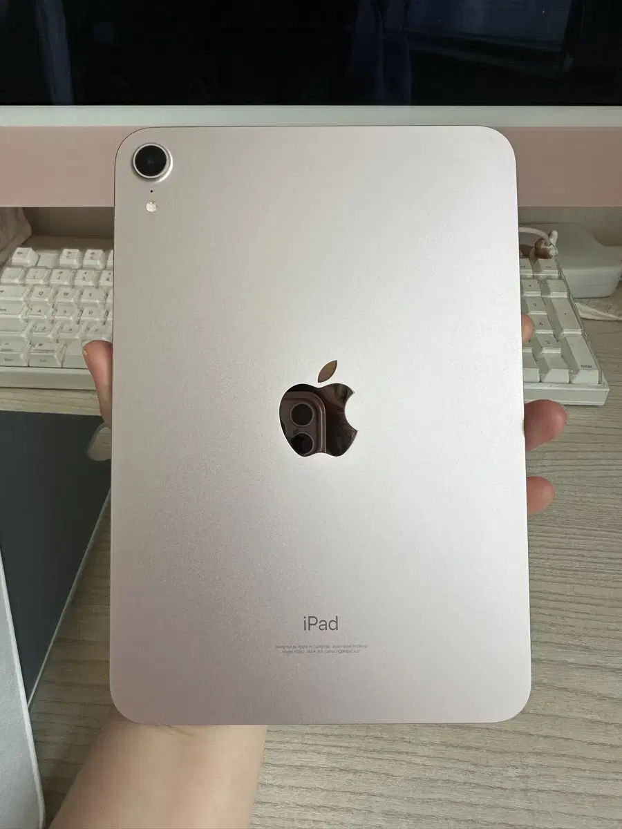 iPad mini 6th generation pink 64GB wifi