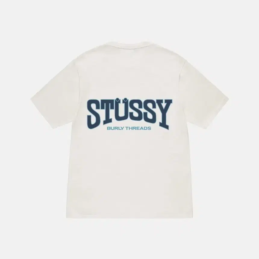 STUSSY Burly threads pig tee  L