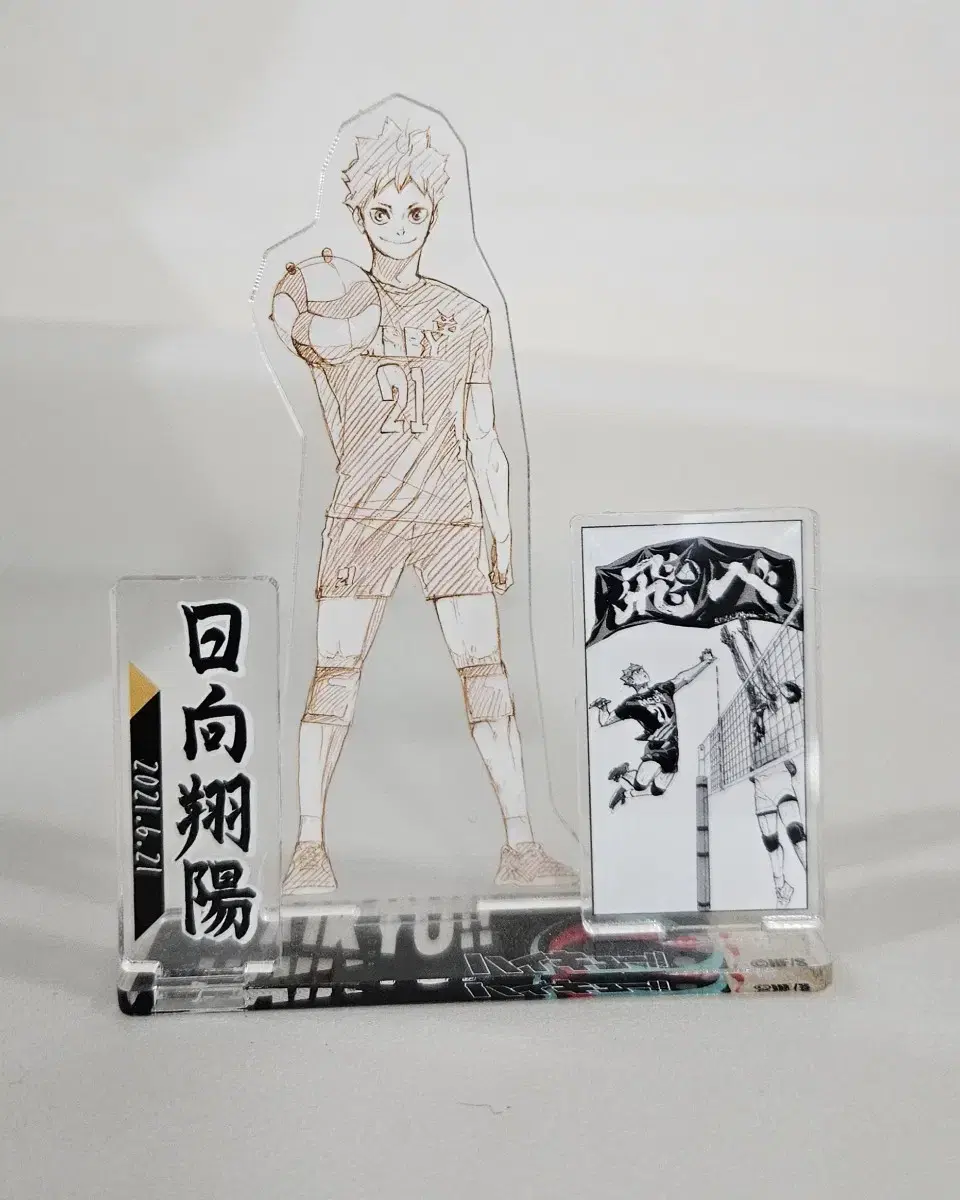 Haikyuu hinata Showo 2021 Diorama