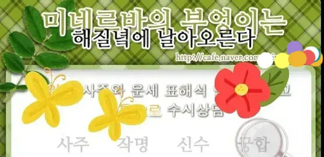 수비학 타로와 사주 전화 상담합니다.